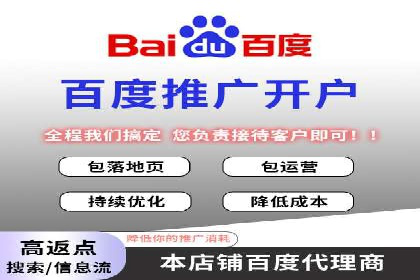 网络推广与竞价策略实战案例